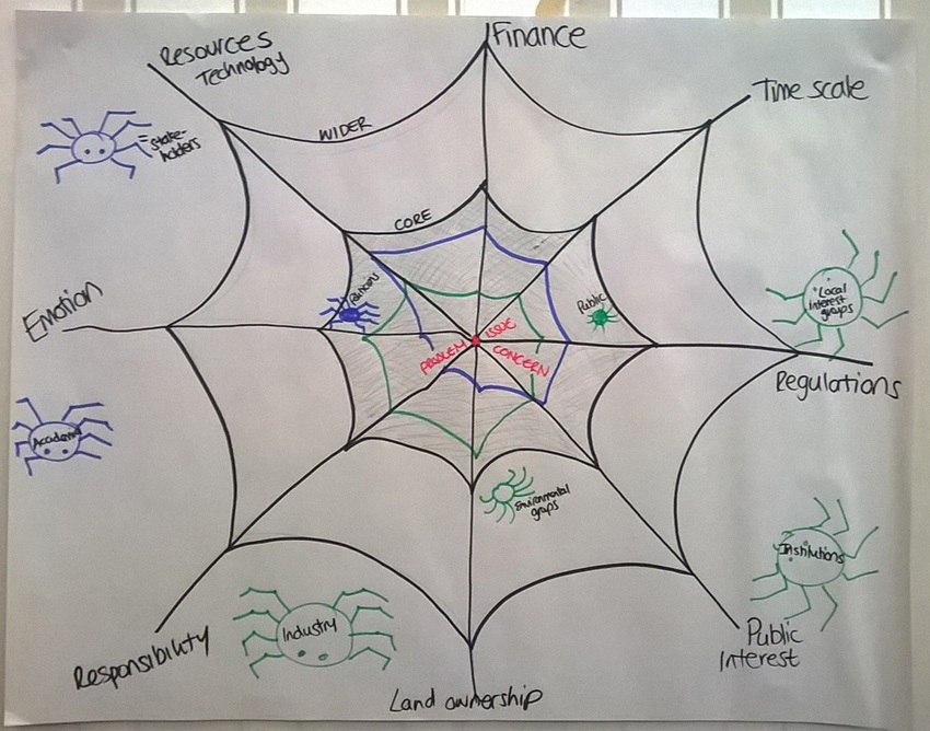 ECR drawing of a spider's web